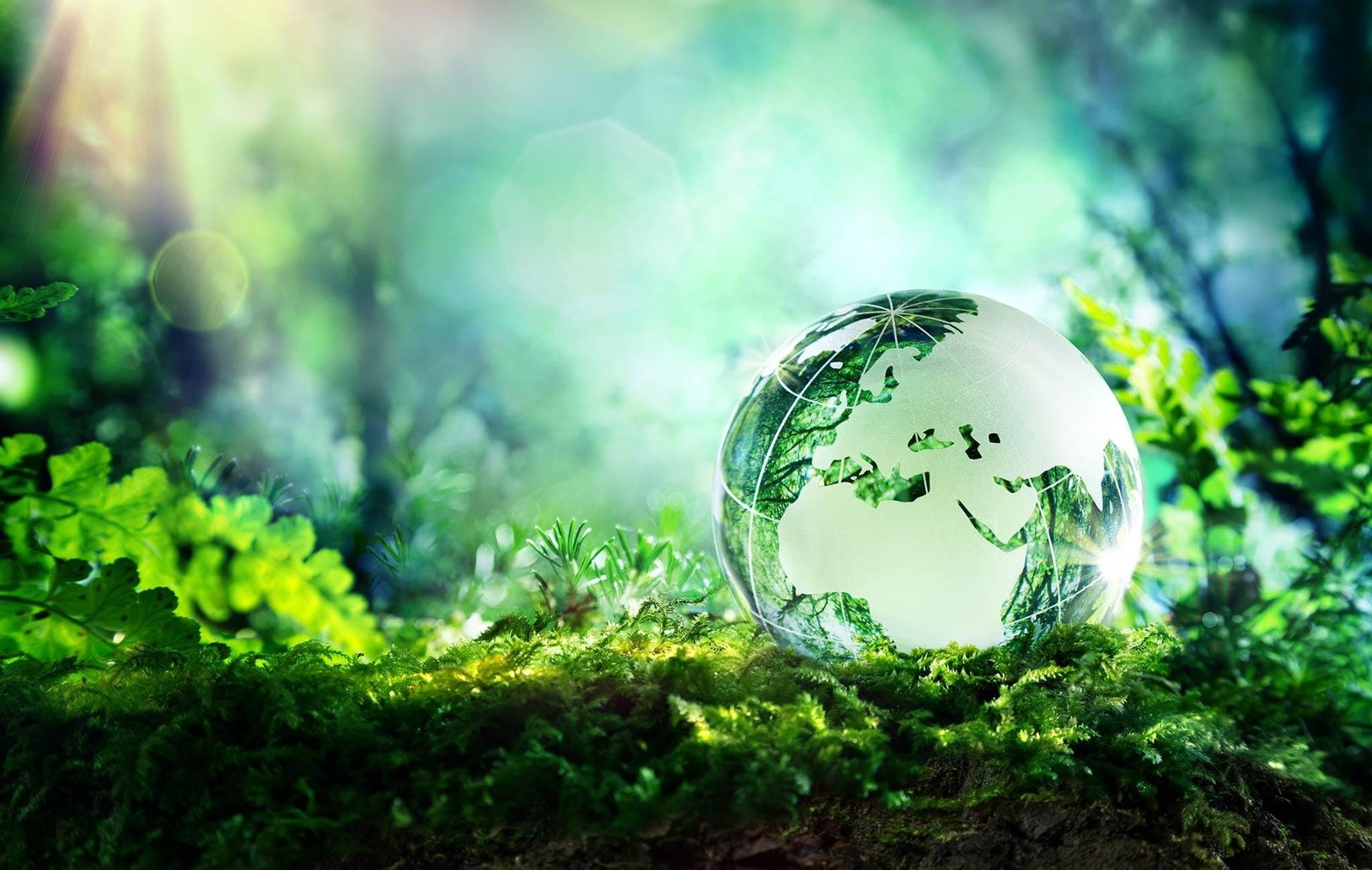 Sustainability and the Future: Green Technology in Motorcycling