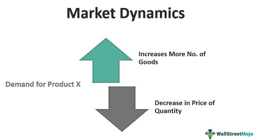 Market Dynamics and Consumer Behavior in the Digital Currency Space