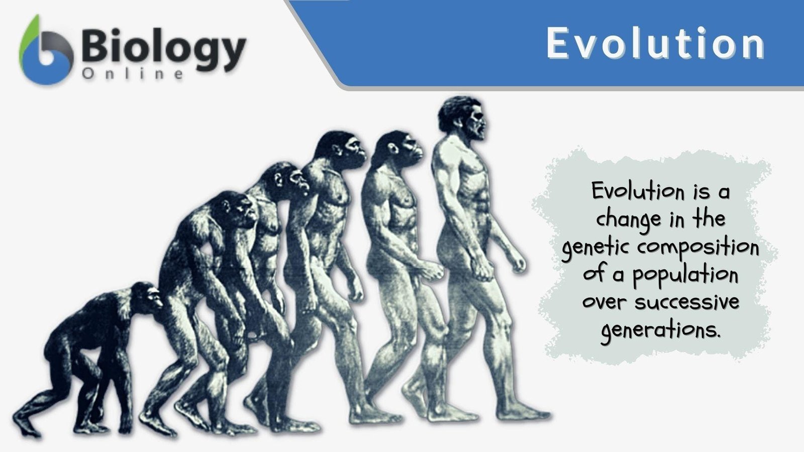 The Evolution of Smart Vehicles and Connectivity