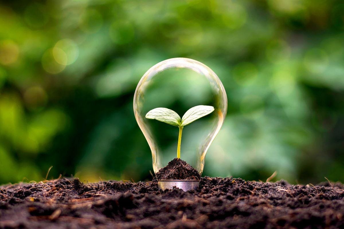 Sustainable Solutions for Greener Transportation