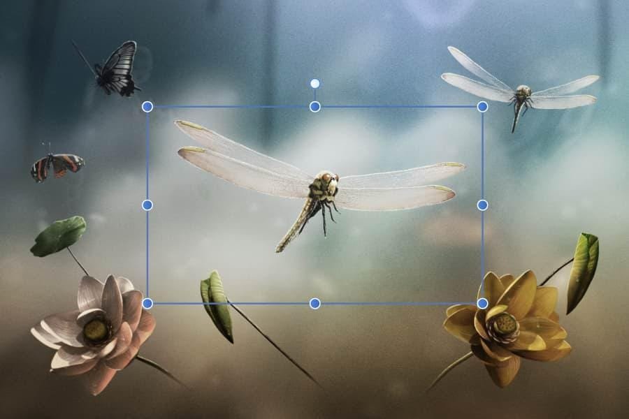 Transforming User Experience Through Design and Functionality