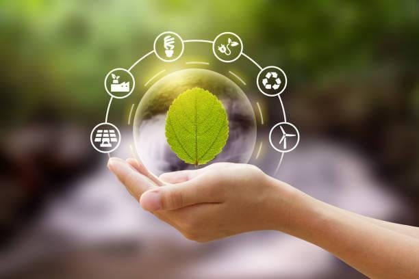 Sustainable Practices Driving the Automotive Industry Forward