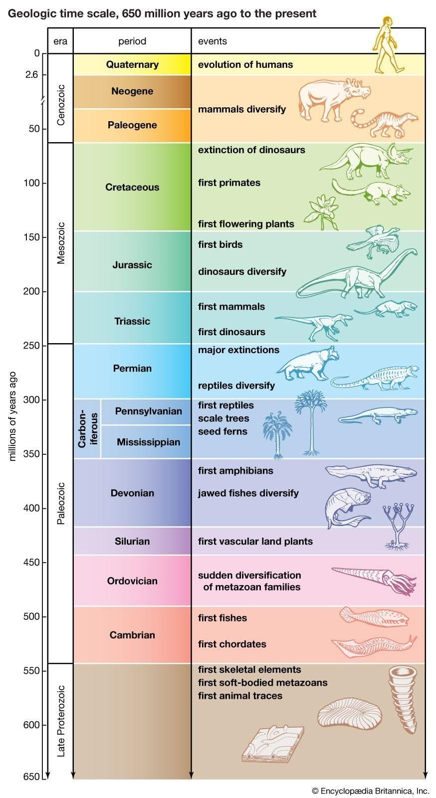 The Evolution of Communication: How Smartphones Bridge Distances